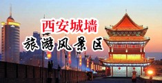 日本胸大的美女啪啪中国陕西-西安城墙旅游风景区